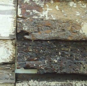 decayed wood siding treated with an epoxy consolidate