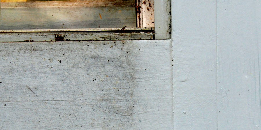 Learn how to remove mildew from windows and siding